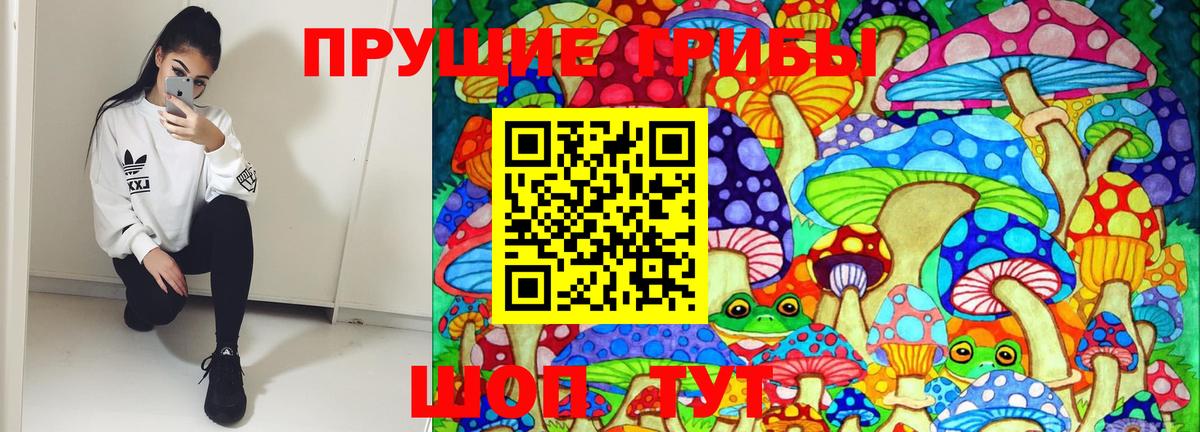 Псилоцибиновые грибы Cubensis Губкин